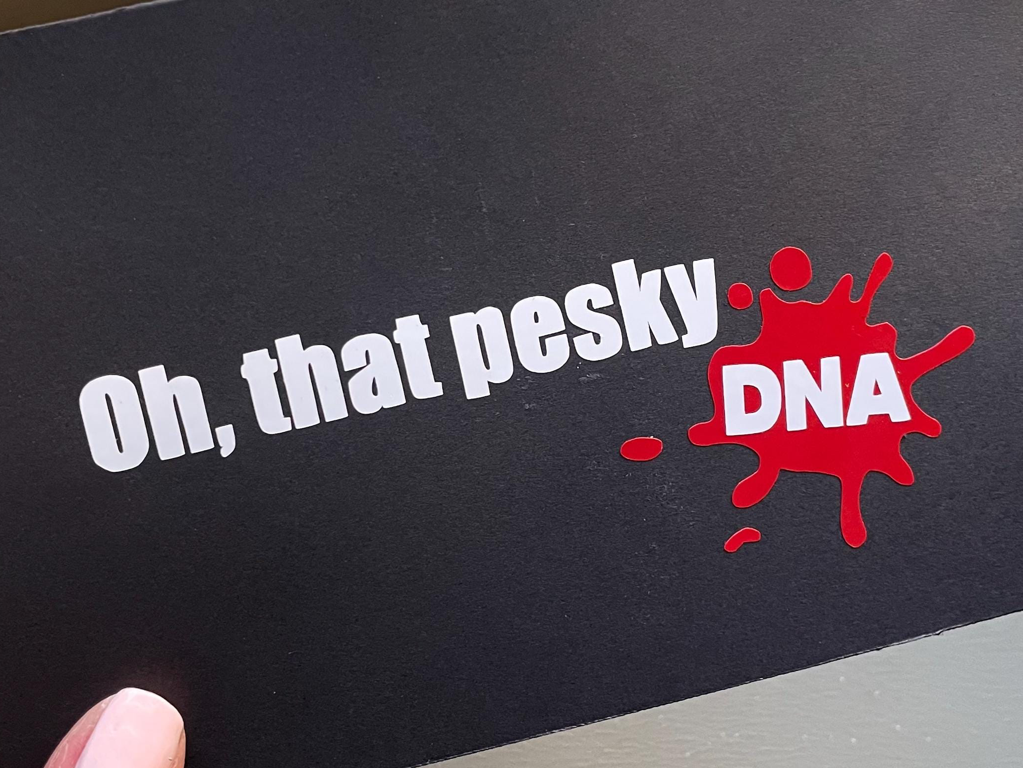 Keith Morrison quote vinyl blood drop sticker / dateline daddy / investigation discovery / murder quotes / true crime all the time